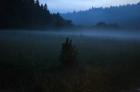 Dusk over Nieznajowa valley phot. Mateusz Myszkowski