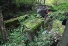 Ruins of the sawmill near Folusz phot. Agnieszka Nowak