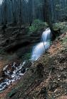 Waterfall near Folusz phot. Andrzej Czaderna