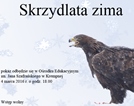 Pokaz filmu 